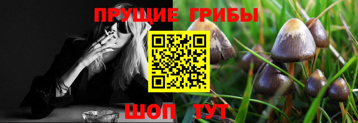 Фролово  Псилоцибиновые грибы ЛСД  закладка  Вход с VPN 